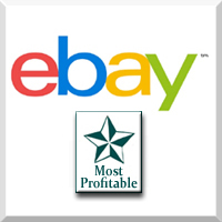 eBay - EcommerceBytes 2018 Sellers Choice for Most Profitable